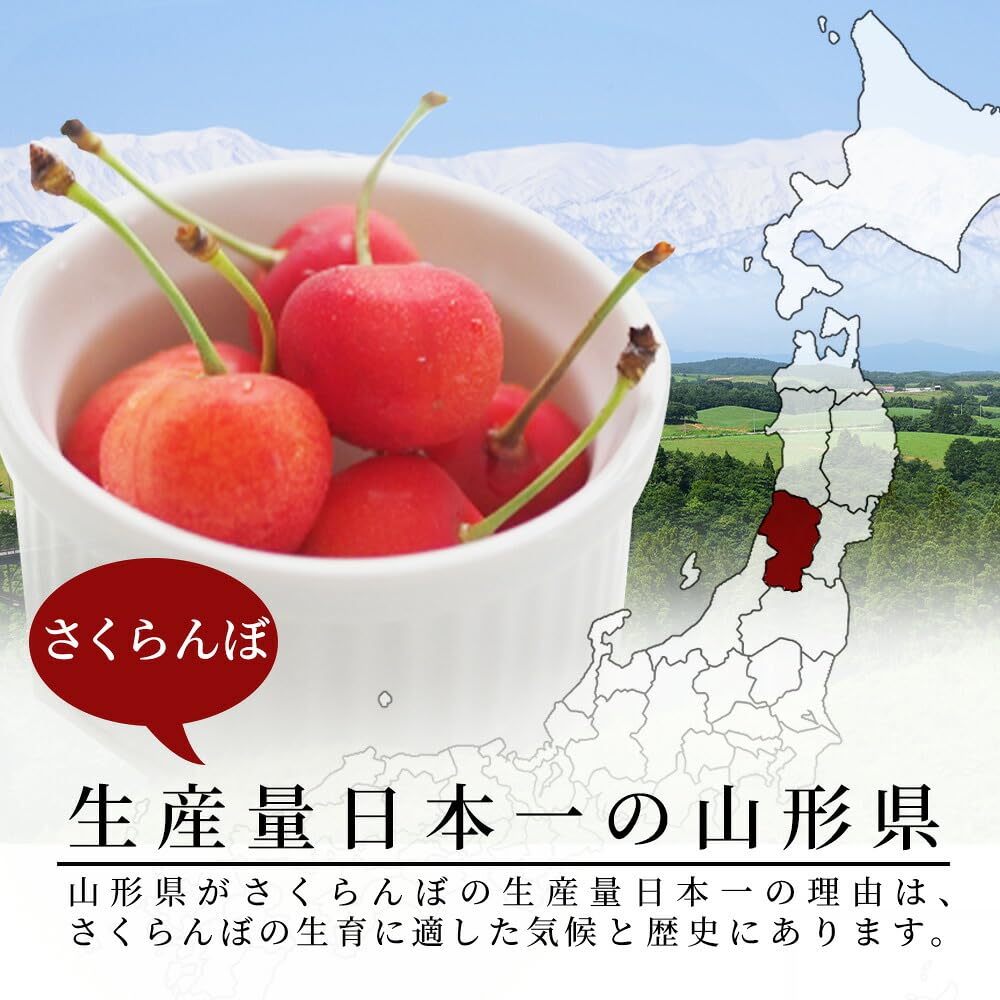 Amazon.co.jp: 特秀 2L 山形県産 さくらんぼ佐藤錦 or 紅秀峰 1kg